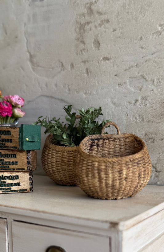 Hanging Wall Basket Planter