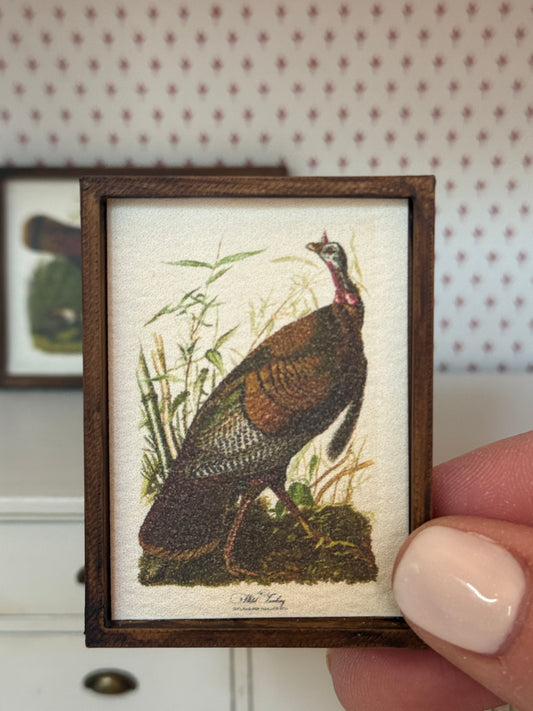 Audubon Framed Turkey Print