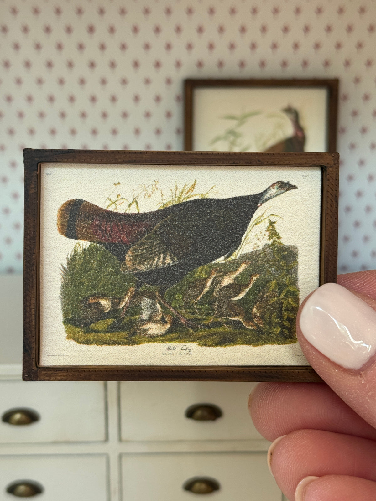 Audubon Framed Turkey Print