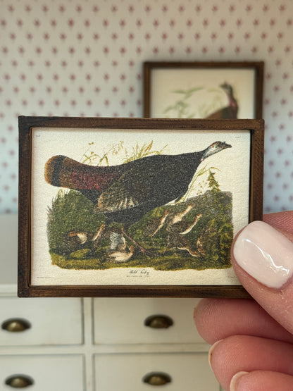 Audubon Framed Turkey Print